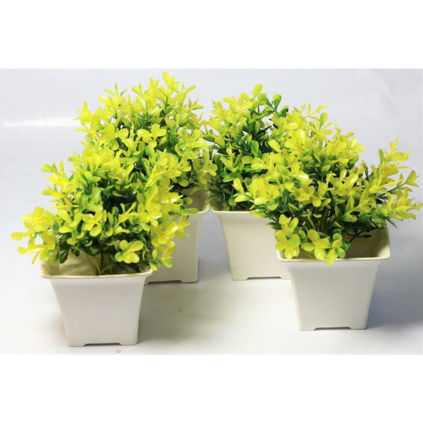 Chahat Decorative Artificial Plant 4 Piece Combo