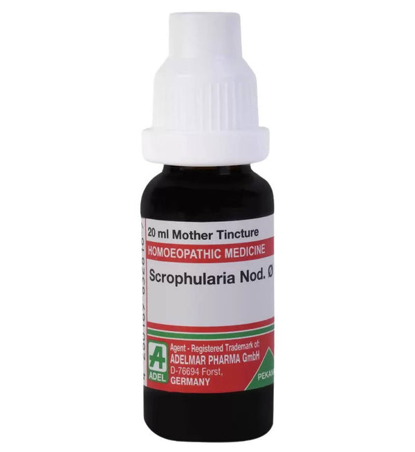Adel Homeopathy Scrophularia Nod Mother Tincture Q