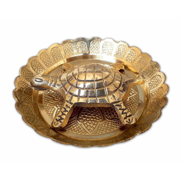 Tortoise with Small Brass Plate