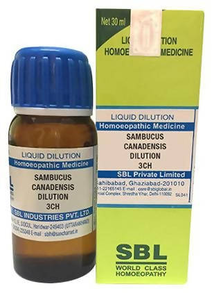 SBL Homeopathy Sambucus Canadensis Dilution