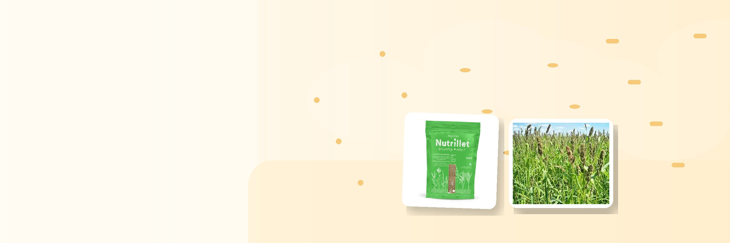 Browntop Millet