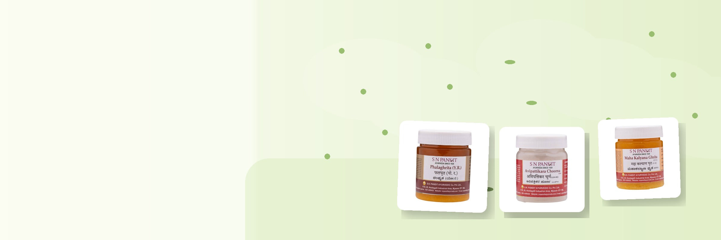 S N Pandit Ayurveda